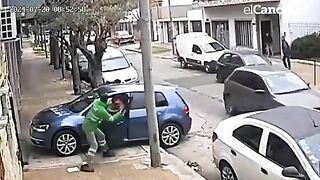 Attempted Car Theft
