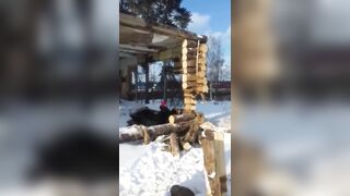 Wife Films Video Of Her Stupid Husband Preparing To Commit Suicide