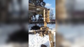 Wife Films Video Of Her Stupid Husband Preparing To Commit Suicide