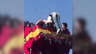 Have You Ever Hesitated About Whether To Take A Ride?