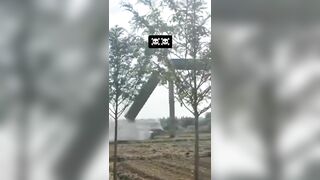 Domino Effect