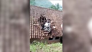 The Double-mounted Females Are Almost Over The House