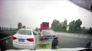 Stupid Driver