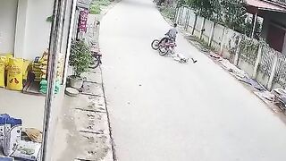 Free Bicycles