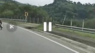 Hit By A Sports Car