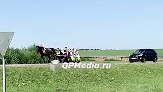 Horse Accidents