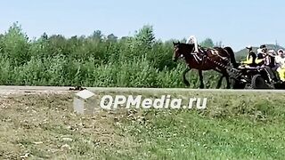 Horse Accidents