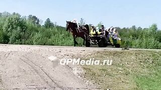 Horse Accidents