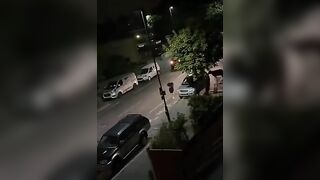 Innocent Cows Minding Their Own Business