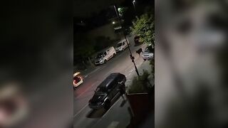 Innocent Cows Minding Their Own Business