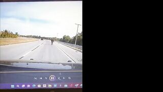 Police Dog Not Injured After Collision With Patrol Car