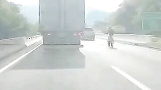Poor Cyclist