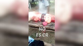 Shark Rips Tourists Apart...boat Hits Shark