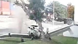 Small Plane Hits Tree