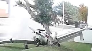 Small Plane Hits Tree