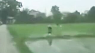Struck By Lightning