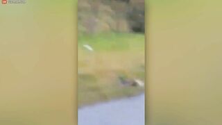Supercar Street Race Ends In Devastating High-speed Crash