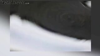 Cursing Motorcyclist Suffers Life-changing Injury