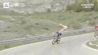 Horrible Motorcycle Accident