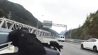 The Last Ride Of Russia's Sexiest Motorcyclist Olga Pronina