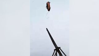 Trebuchets And Cars