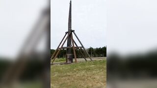 Trebuchets And Cars