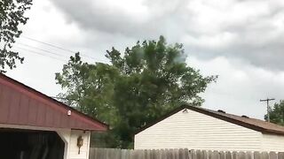 Burnt Trees Next To Power Lines