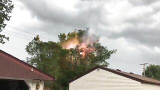 Burnt Trees Next To Power Lines