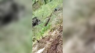 The Truck Driver Lost His Truck. All Three Of Them Were Lucky.