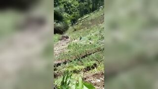 The Truck Driver Lost His Truck. All Three Of Them Were Lucky.