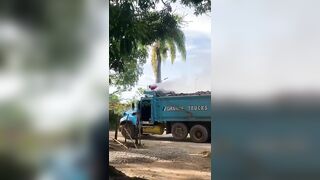 Truck Driver Suffers Burns After Touching Live Wire