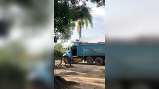 Truck Driver Suffers Burns After Touching Live Wire