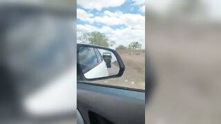 Truck Hits Car And Leaves Highway