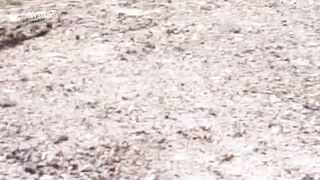 Truck Explodes In Florida Accident