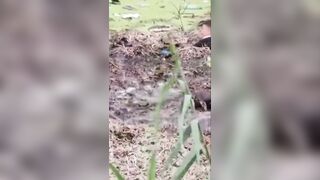 Two Illegal Immigrants Drowned While Crossing The Southern U.S. Border