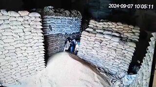 Warehouse Worker Buried By Falling Wheat Sack
