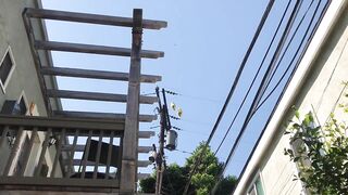 Watch A Metallic Birthday Balloon Touch A Wire And Explode