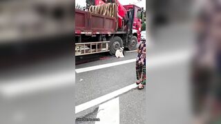 Woman Calmly Makes Final Cry For Help Under Truck Tire