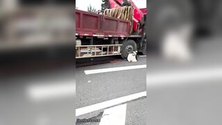 Woman Calmly Makes Final Cry For Help Under Truck Tire
