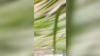 Woman Hit By Car While Live Streaming On Street