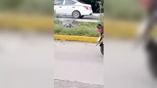 The Worker Took The Wrong Cable