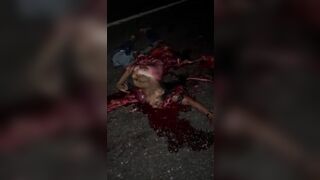 Young Woman Ripped Apart On Highway