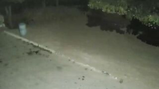 Two Friends Murdered In Brazil Over Noisy Motorcycle
