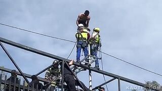 Different Perspectives Of Mexican Flying High Jumper