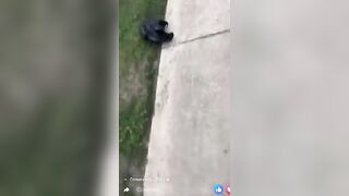 Another Hysterical Street Takeover