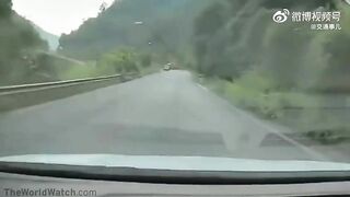 Brake Failure And Reverse Gear
