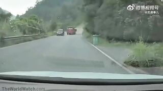 Brake Failure And Reverse Gear