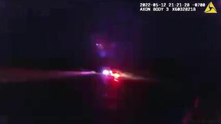 Dog In Good Condition But Shocked After Being Rear-ended By Police Dog Unit Truck