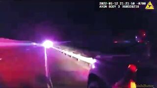 Dog In Good Condition But Shocked After Being Rear-ended By Police Dog Unit Truck