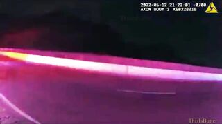 Dog In Good Condition But Shocked After Being Rear-ended By Police Dog Unit Truck